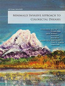 Minimally Invasive Approach to Colorectal Diseases