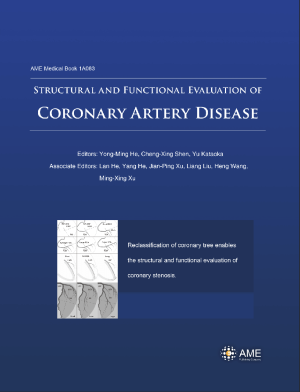 Structural and Functional Evaluation of Coronary Artery Disease