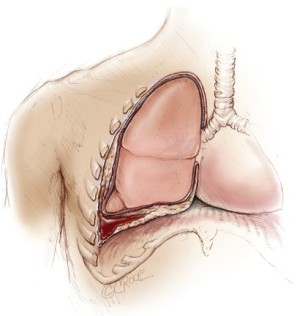Click on image to zoom Figure 1