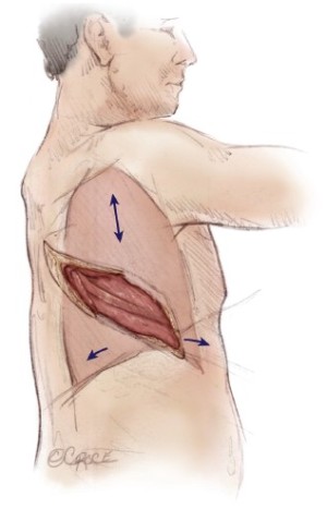 Click on image to zoom Figure 3
