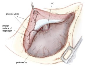 Click on image to zoom Figure 6