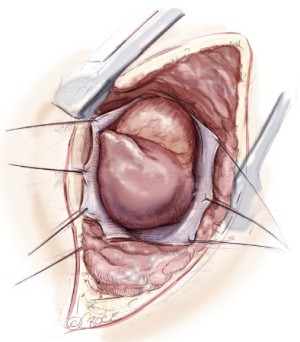 Click on image to zoom Figure 7