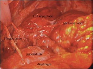Click on image to zoom Figure 2