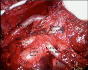 Click on image to zoom Figure 4