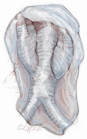 Click on image to zoom