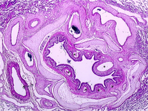 Click on image to zoom