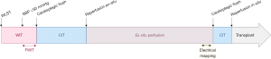 Click on image to zoom