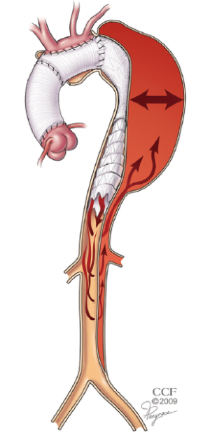Click on image to zoom