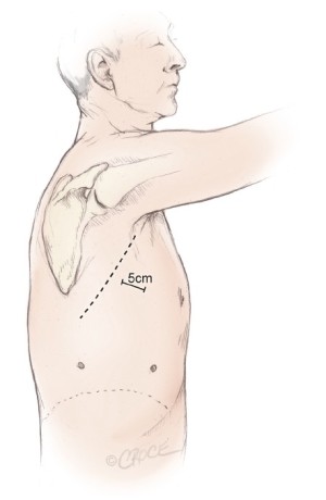 Click on image to zoom Figure