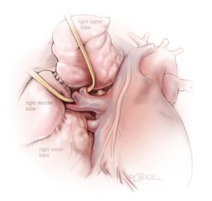 Click on image to zoom Figure