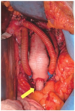 Click on image to zoom Figure 3