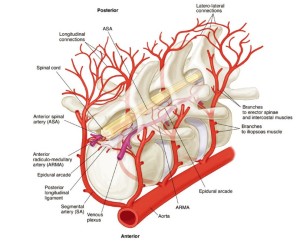 Click on image to zoom Figure 9