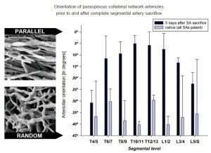Click on image to zoom Figure 11