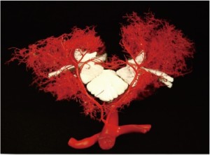 Click on image to zoom Figure 7