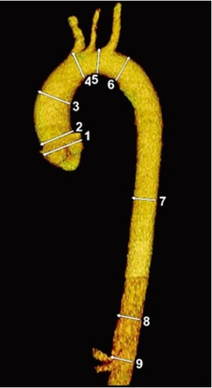 Click on image to zoom Figure 1