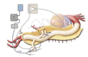 Click on image to zoom Figure 9