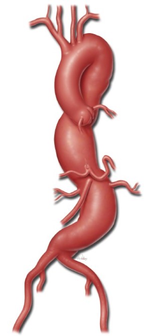 Click on image to zoom Figure 1