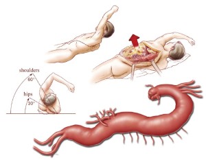 Click on image to zoom Figure 2