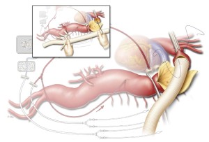 Click on image to zoom Figure 4