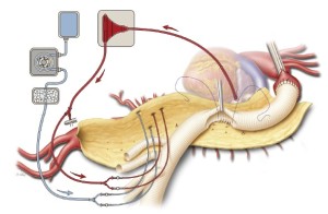 Click on image to zoom Figure 5