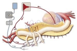 Click on image to zoom Figure 7