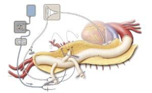 Click on image to zoom Figure 8