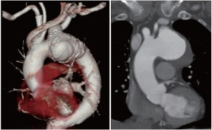Click on image to zoom Figure 3