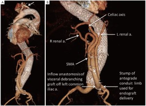 Click on image to zoom Figure 2