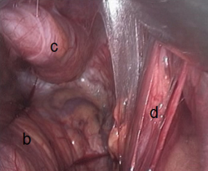 Click on image to zoom