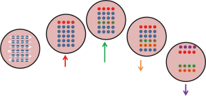 Click on image to zoom