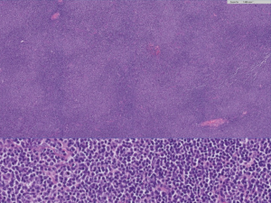 Click on image to zoom