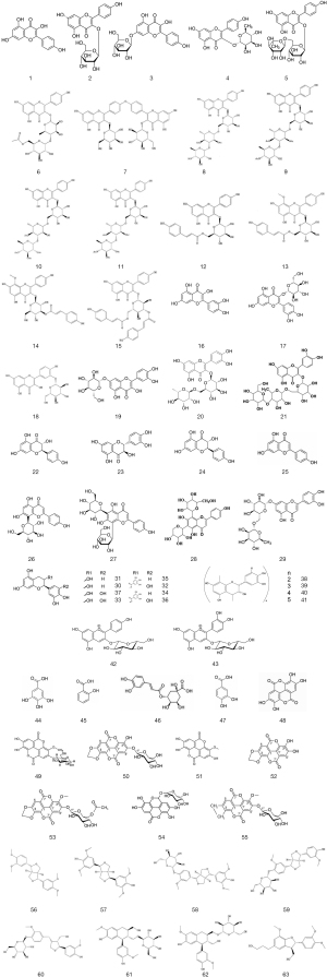 Click on image to zoom