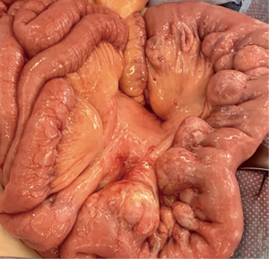 Click on image to zoom