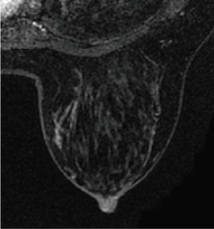Click on image to zoom Figure 10