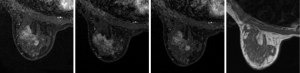 Click on image to zoom Figure 16