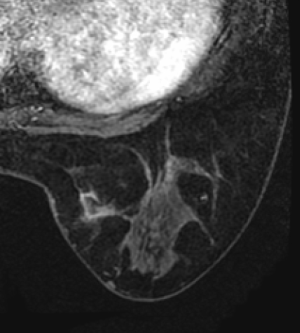 Click on image to zoom Figure 31