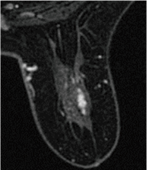 Click on image to zoom Figure 6
