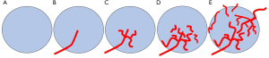 Click on image to zoom