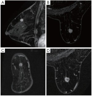 Click on image to zoom Figure 13