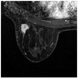 Click on image to zoom Figure 17
