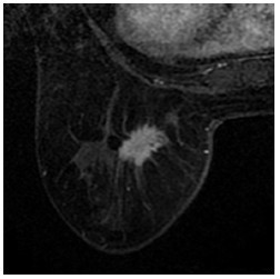 Click on image to zoom Figure 25