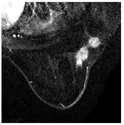 Click on image to zoom Figure 26