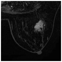 Click on image to zoom Figure 27
