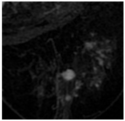Click on image to zoom Figure 29