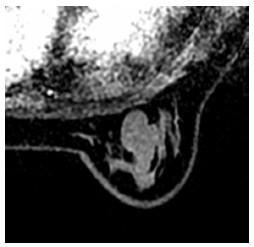 Click on image to zoom Figure 32