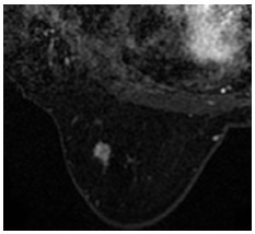 Click on image to zoom Figure 39