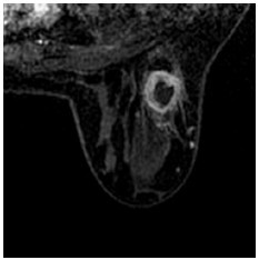 Click on image to zoom Figure 41