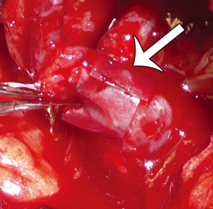 Click on image to zoom