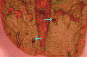 Click on image to zoom