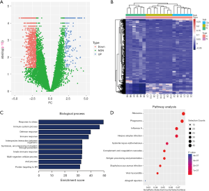 Click on image to zoom